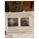 Holiday Decor Set with 2 Faux Topiary Trees and 2 Mercury Glass Globes