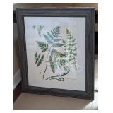 Roberts Fern IV - Framed Botanical Print, 32h x 28w x 1d