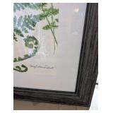 Roberts Fern IV - Framed Botanical Print, 32h x 28w x 1d