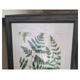 Roberts Fern IV - Framed Botanical Print, 32h x 28w x 1d