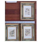 Framed Botanical Prints in Ornate Green & Gold Frames (Set of 4) & Ceramic Fern Tray
