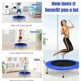Indoor Exercise Mini Trampoline - Excellent Condition!