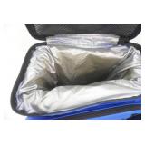 Collapsible Coolers (one larger, one medium sized)