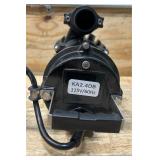 NorthStar Cast Iron Submersible Trash Water Pump