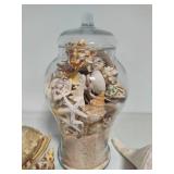 Seashell Assortment #2