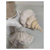 Seashell Assortment #2
