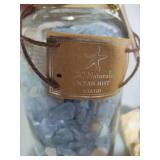 Seashell Assortment #3