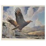 Unframed MARIO FERNANDEZ Golden Eagle Print 64/200 19" x 24"