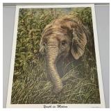 Unframed GAIL ADAMS "Youth In Motion" Elephant Print With COA 23" x 29"