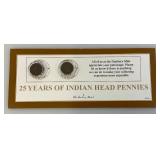 Misc. Indian Head Pennies In Protective Cases
