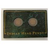 Misc. Indian Head Pennies In Protective Cases