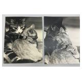 Misc. Collectibles Including Paper, Flag, Oriental And More