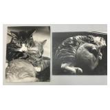 Misc. Collectibles Including Paper, Flag, Oriental And More