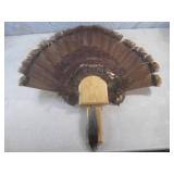 (FS) Turkey Tail Feather Fan and Be...