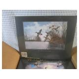 (BS) Case of 8 New Wild Fowl of Nor...