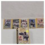 Nascar Embossed Metal Card Set-Earnhardt
