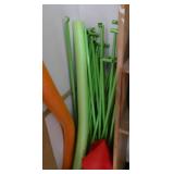 Rm 206 -  Plant Growing tent