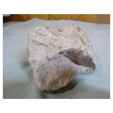 Herkimer Quartz Diamond in Matrix