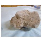 2 Pumice Stones