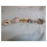5 Oco Geodes