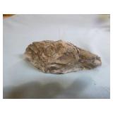 Piece of Petrified Wood