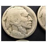 8 Buffalo Nickels