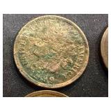 10 Indian Head Pennies