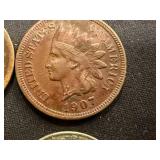8 Indian Head Pennies & 4 Steel Wheel Pennies