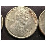 8 Indian Head Pennies & 4 Steel Wheel Pennies