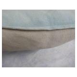 2 Threshold Pillows...