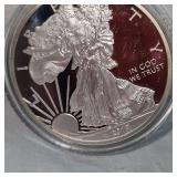2013 Silver Eagle 100 Mills .999 Fine Silver