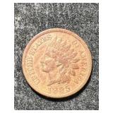 1895 US INDIAN HEAD CENT