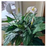 SR - Asian Style Ceramic Vase with Gold Floral Pattern and Faux Greenery