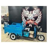 ELECTRIC TRICYCLE	SDLANCH	2025	Unused	IRET15 (STOCK PHOTO) RED