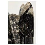 MP - Orthoceras Fossil in Marble Tower 9.25in Tall & Flat Marble Fossil 5.5x6.5in