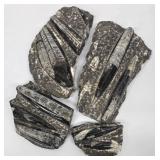 MP - Set of Four Orthoceras Fossil Specimens