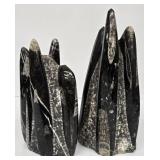 Marble Towers With Orthocerous Fossils