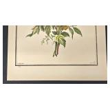 The Hammer Museum Floral Bouquet Prints (Lot of 4)