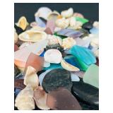 Shells & Sea Glass Assortment - Beach Craft Supplies