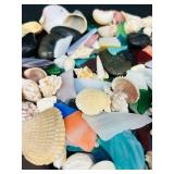 Shells & Sea Glass Assortment - Beach Craft Supplies