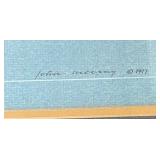 Reliance vs Shamrock III - 1903 Framed Print