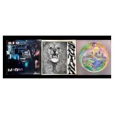 11 Vintage Vinyl LP Collection - The Beatles, ABBA, Beach Boys & More