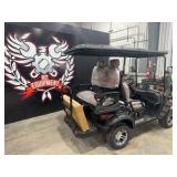 GOLF CART	SDLANCH	2025	Unused	SDLGC80 (stock photo)