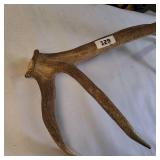 Large Single bull elk shed antler.