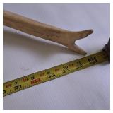 Large Single bull elk shed antler.