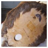 Nice taxidermy shoulder mount of a male White-tailed deer