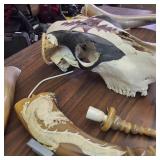 This item is a decorative collectible hand-painted cow skull adorned with Native American-inspired artwork and associated horn accessories.