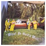 Very Large Lot of LP