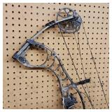 Hoyt compound bow, designed for hunting and archery
