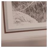 Carl Brenders "Canadian Lynx Triptych" and two other prints